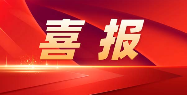 喜報(bào)！熱烈祝賀我司榮獲江蘇省“專精特新”企業(yè)稱號(hào)